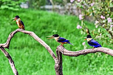 “城市建设”×“贸易”模拟游戏《罗塔岛航海贸易记》Steam页面上线 支持简繁体中文